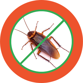 Best Pest Control Company in Ahmedabad
